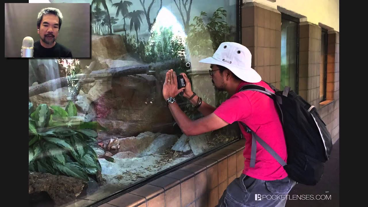 Photographing Animals Behind Glass