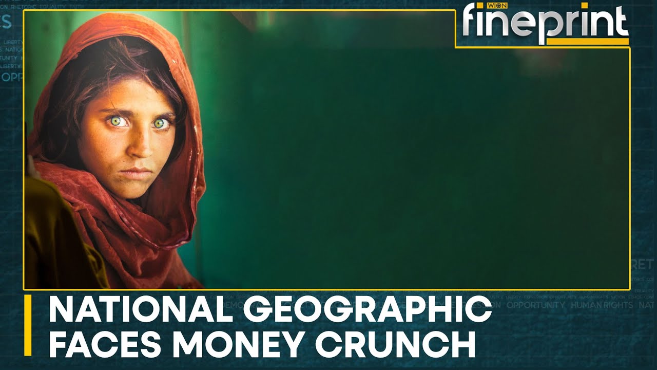 National Geographic's writers laid off: Struggles of digital era | WION Fineprint | Top English News