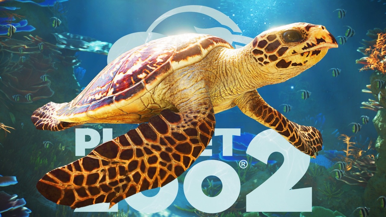 Птицы! РЫБЫ! Planet Zoo 2 выглядит НЕВЕРОЯТНО &mdash; Полный обзор новостей и разбор