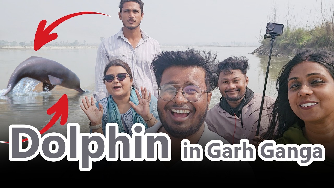 Dolphin in Garh Ganga 🐬 | Unexpected River Surprise🤩