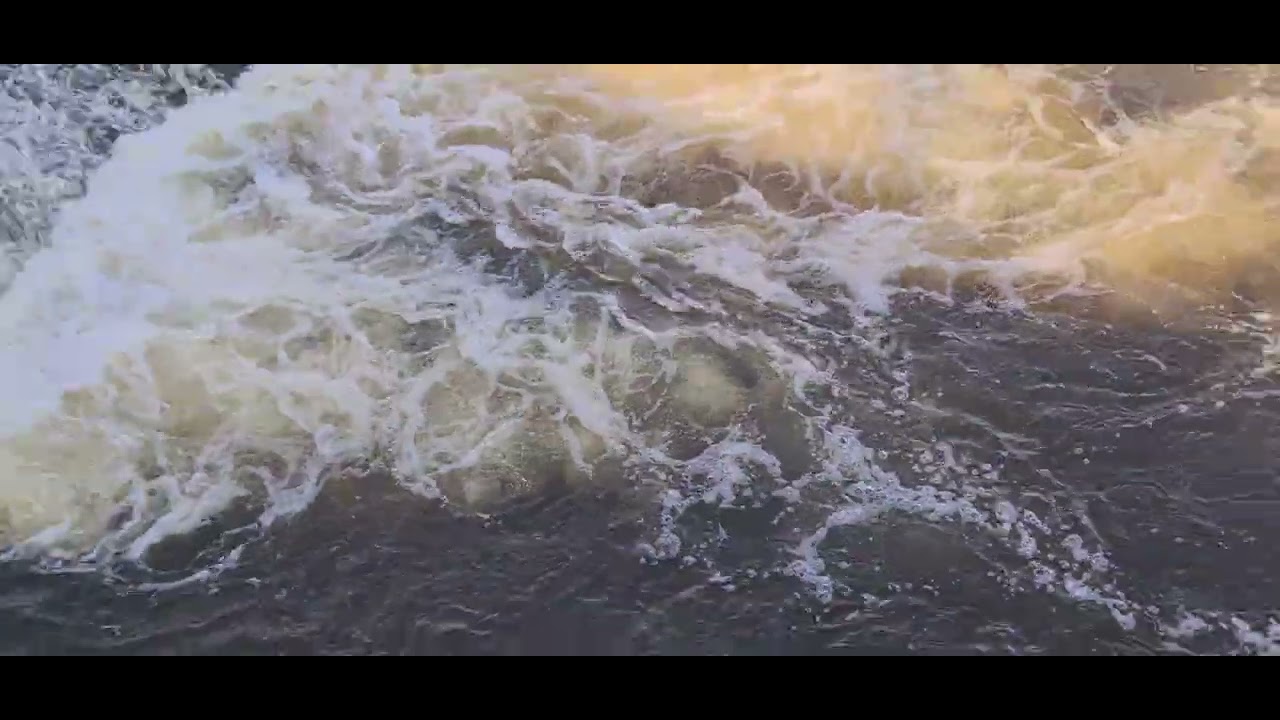 Video I took at Chester of a Cormorant fishing for eels
