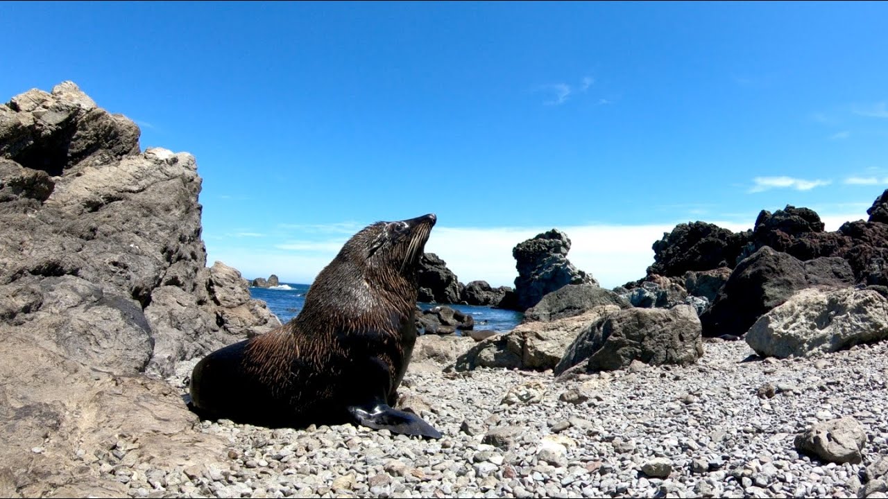 Best places to see in the Wairarapa, New Zealand.