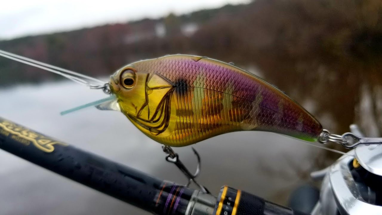 Testing Out the Megabass SonicSide Crankbait (Destroyed)