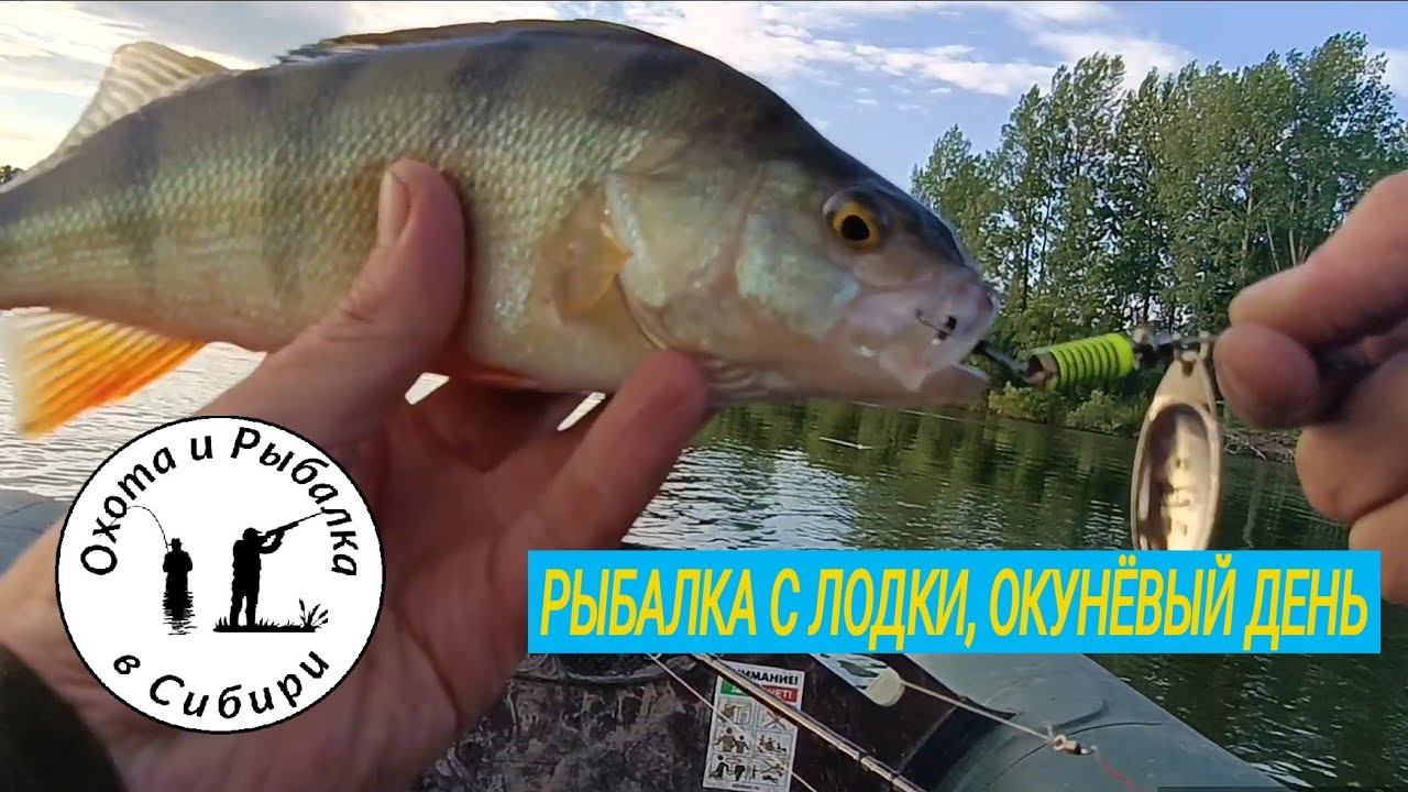второй выезд на Кан за Ашкаул Канский район Красноярского. рыбалка с лодки. окунёвый вечерок.