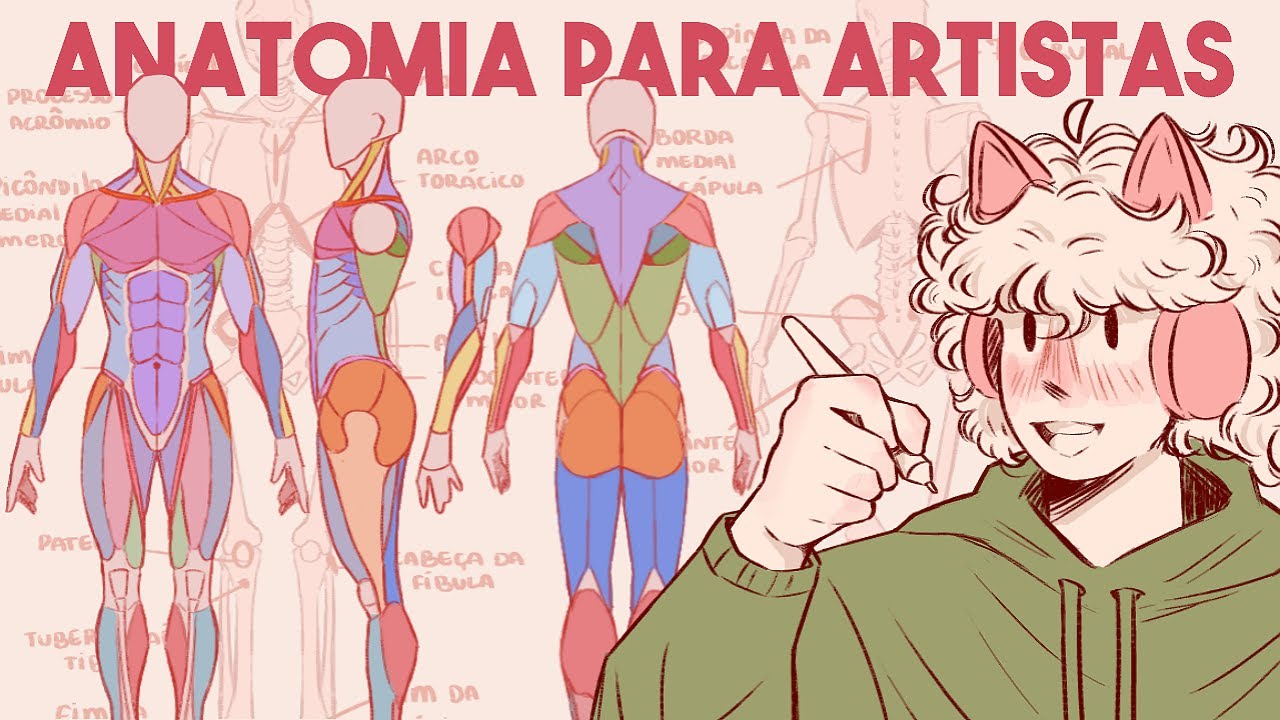 Anatomia para artistas | Tutorial de anatomia