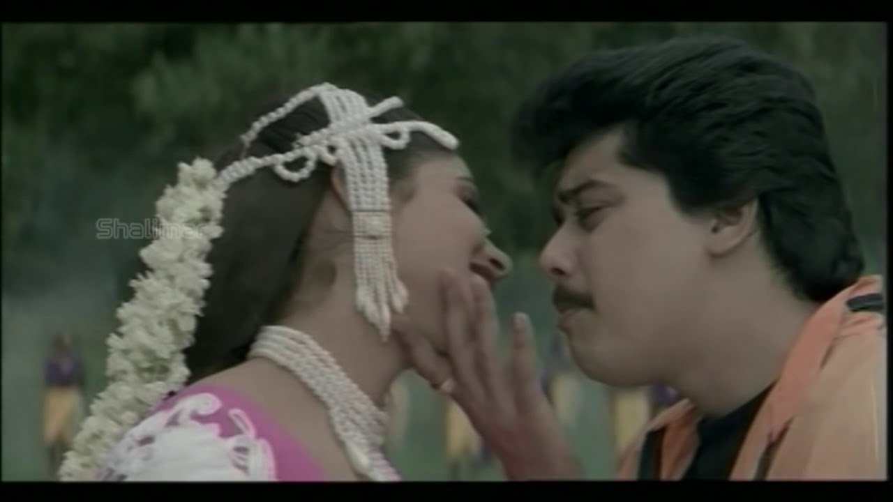 Gokulamlo Seetha Movie || Andhaala Seemalo Video Song || Pawan kalyan || Raasi
