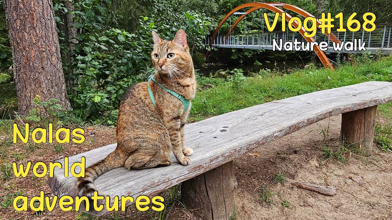 Nala exploring Ahja River Valley 😻 Vlog #168