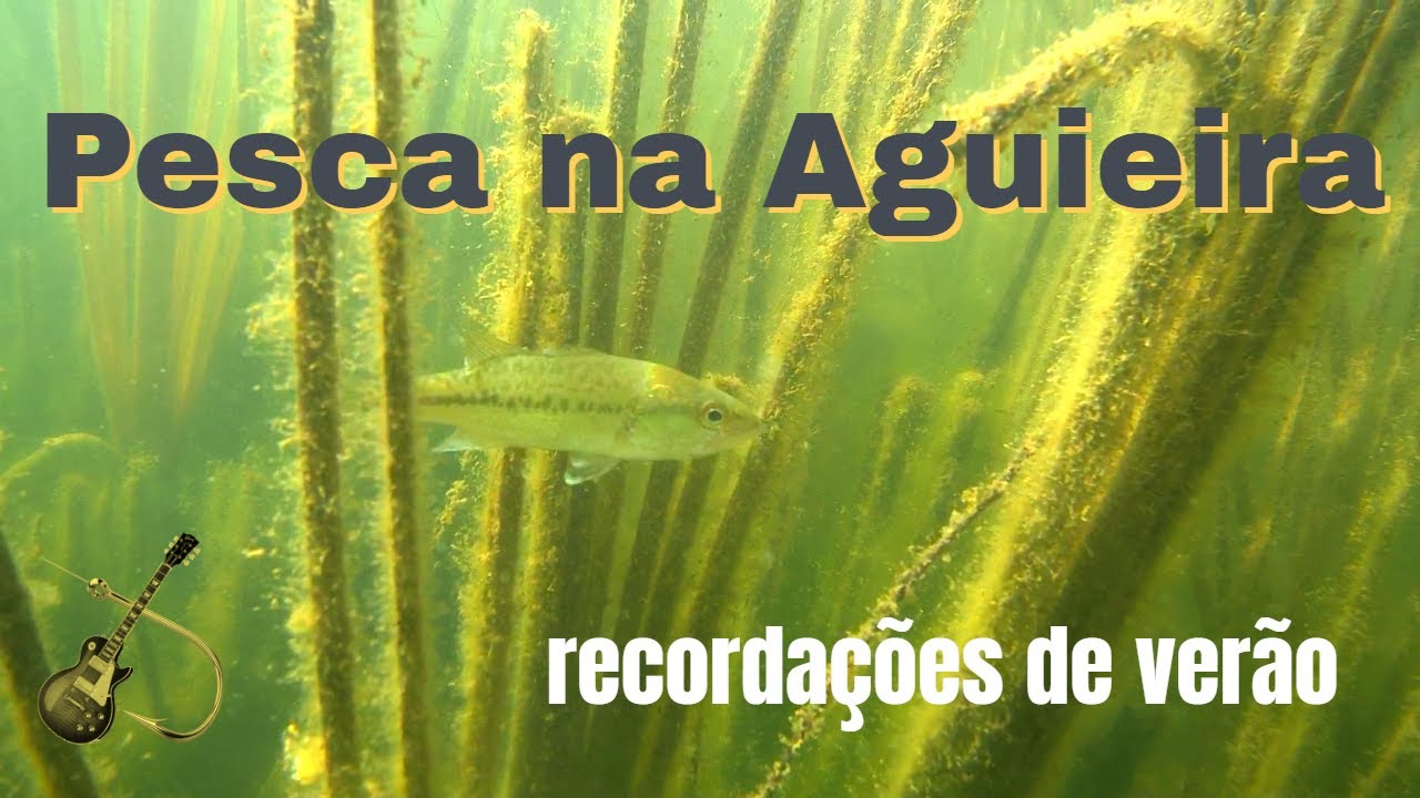 Achigãs da Aguieira | recordação de verão