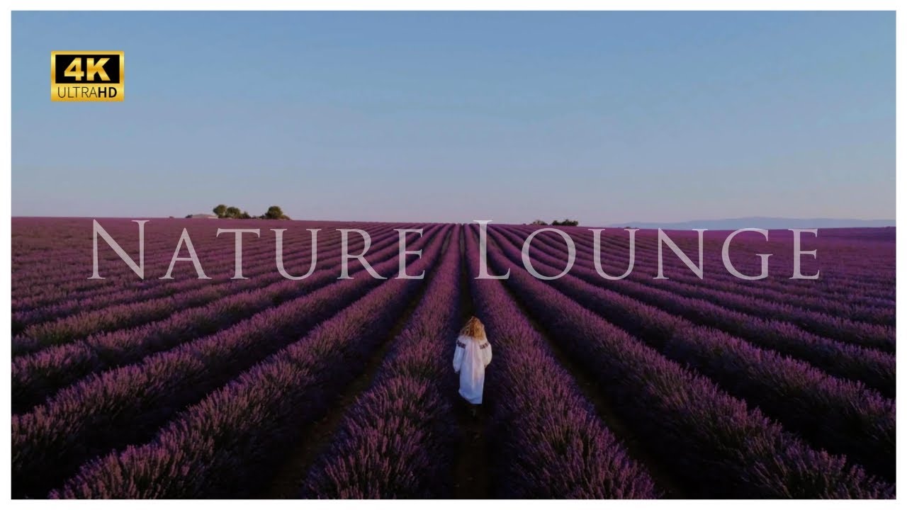 Peaceful Lavender Fields 4K  | Relaxing Music | Nature Sounds