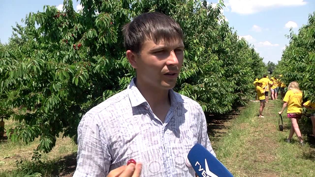 Крым2015 fin 720p