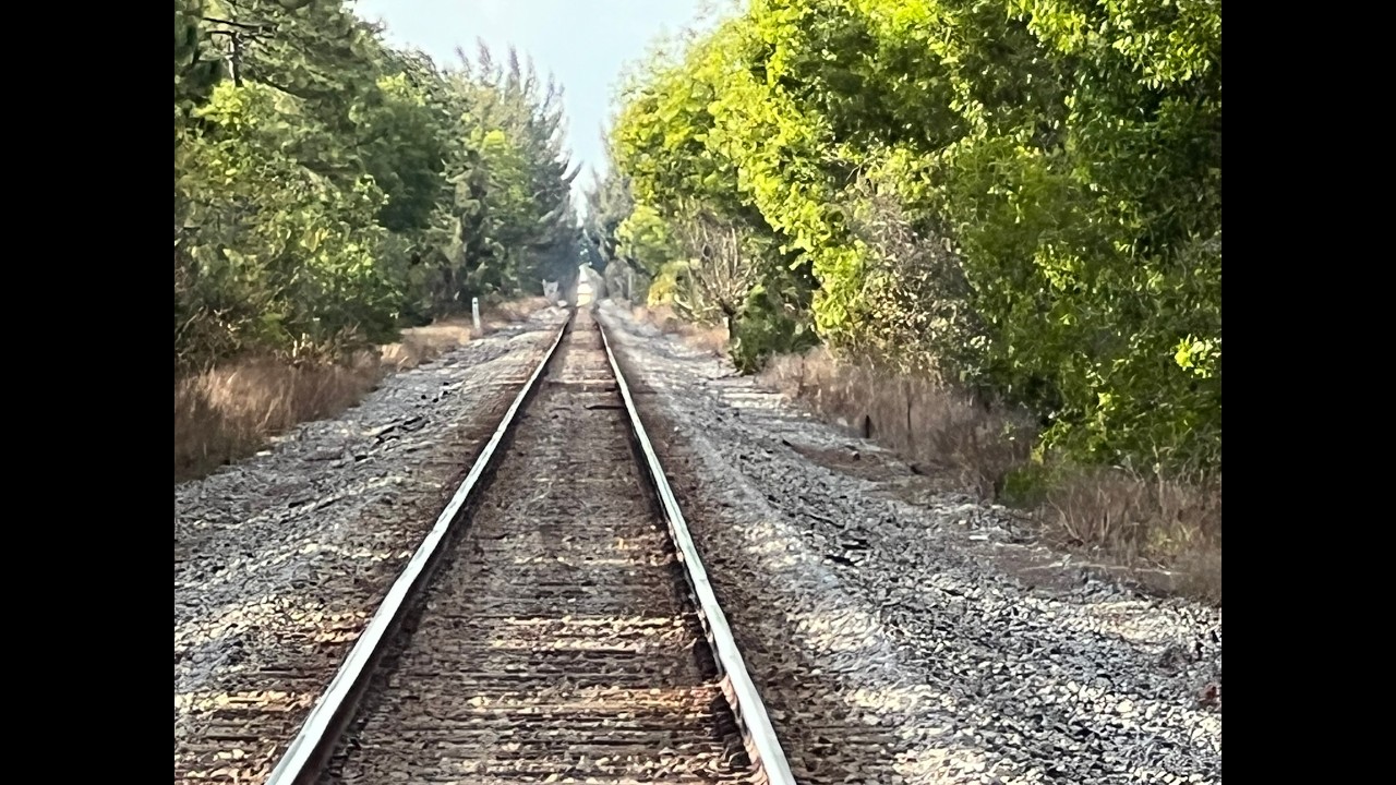 Southbound Amtrak Floridian At A Deadmans Crossing