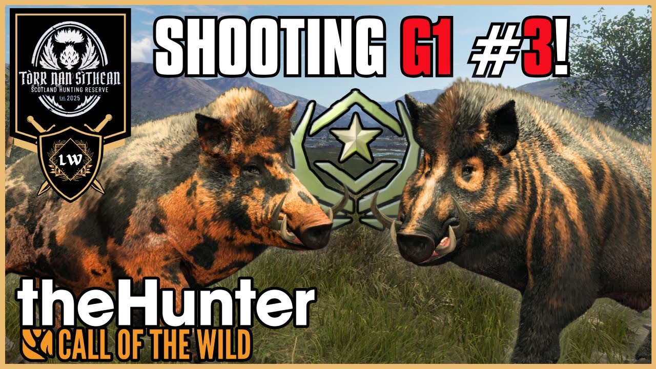 The 3rd G1 Boar Falls Tonight… | COTW