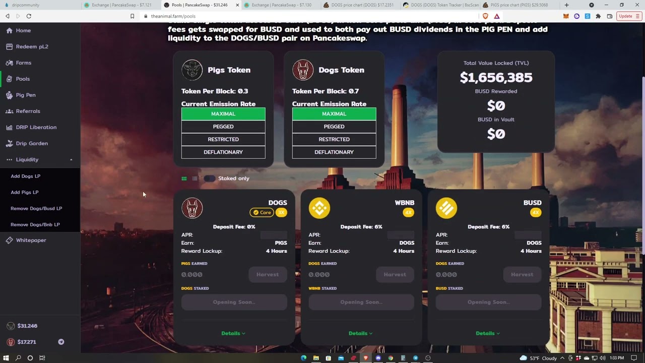 Animal Farm Forex Shark AMA (Day of launch)