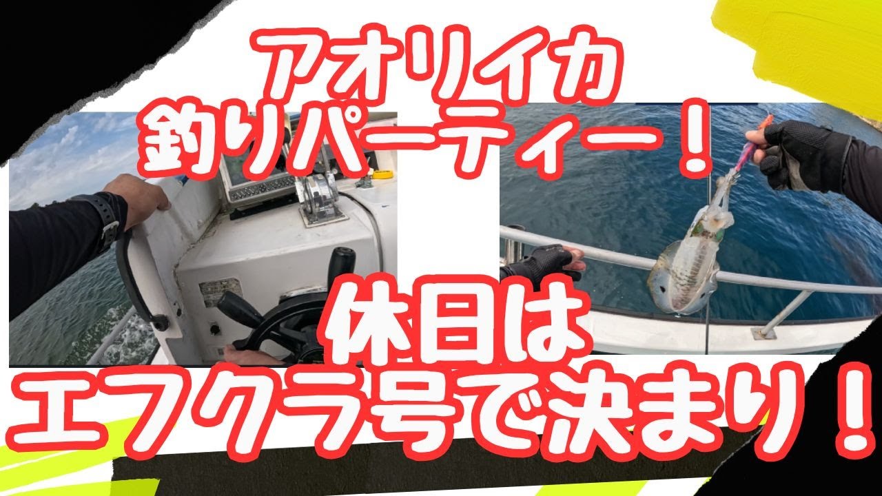 休日はエフクラ号で決まり！アオリイカ釣りパーティー！#ティップラン
