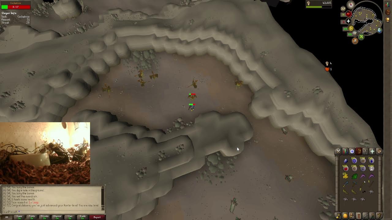 An OSRS grind