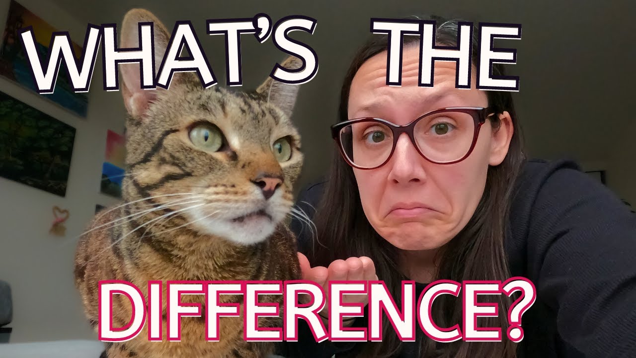 Prescription cat food VS non script food
