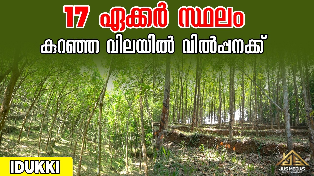 Low Budget Land For Sale In Idukki | 60000 - | Owner 9037 29 22 55