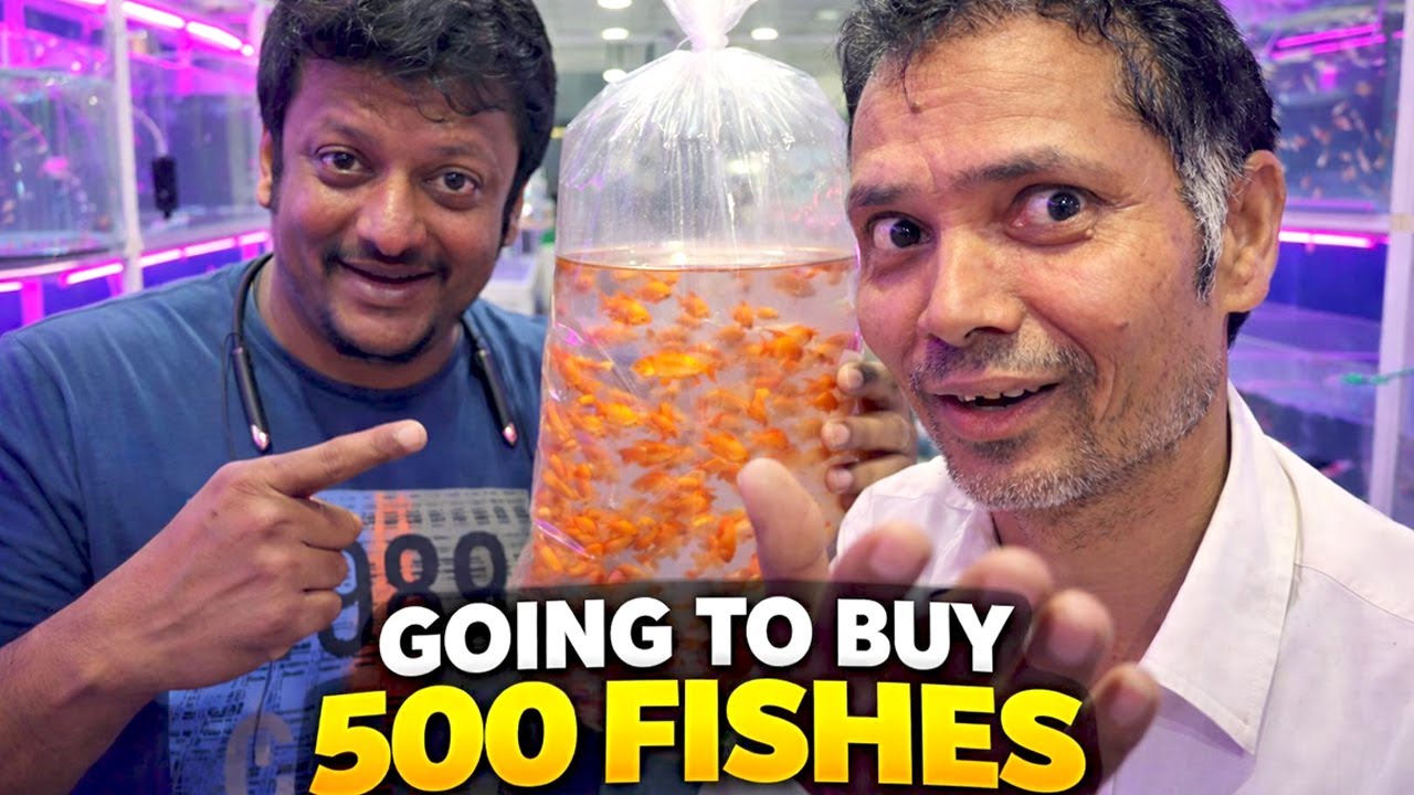 🐠😲 BIGGEST FISH SHOP  !! 🐟🔥