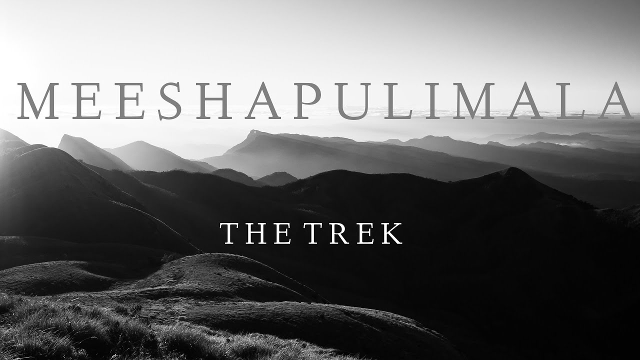 Meeshapulimala