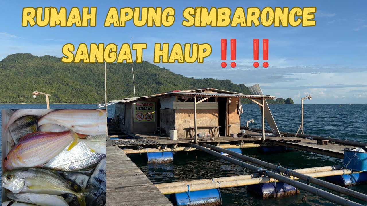 PANEN IKAN‼️ MANCING SANTAI DI RUMAH APUNG KARANGGONGSO SAAT SIANG