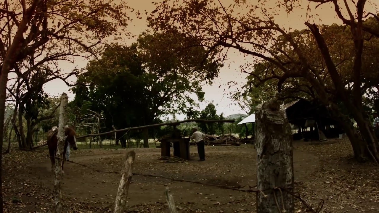 Naranjos-Amatl&aacute;n, Veracruz, M&eacute;xico