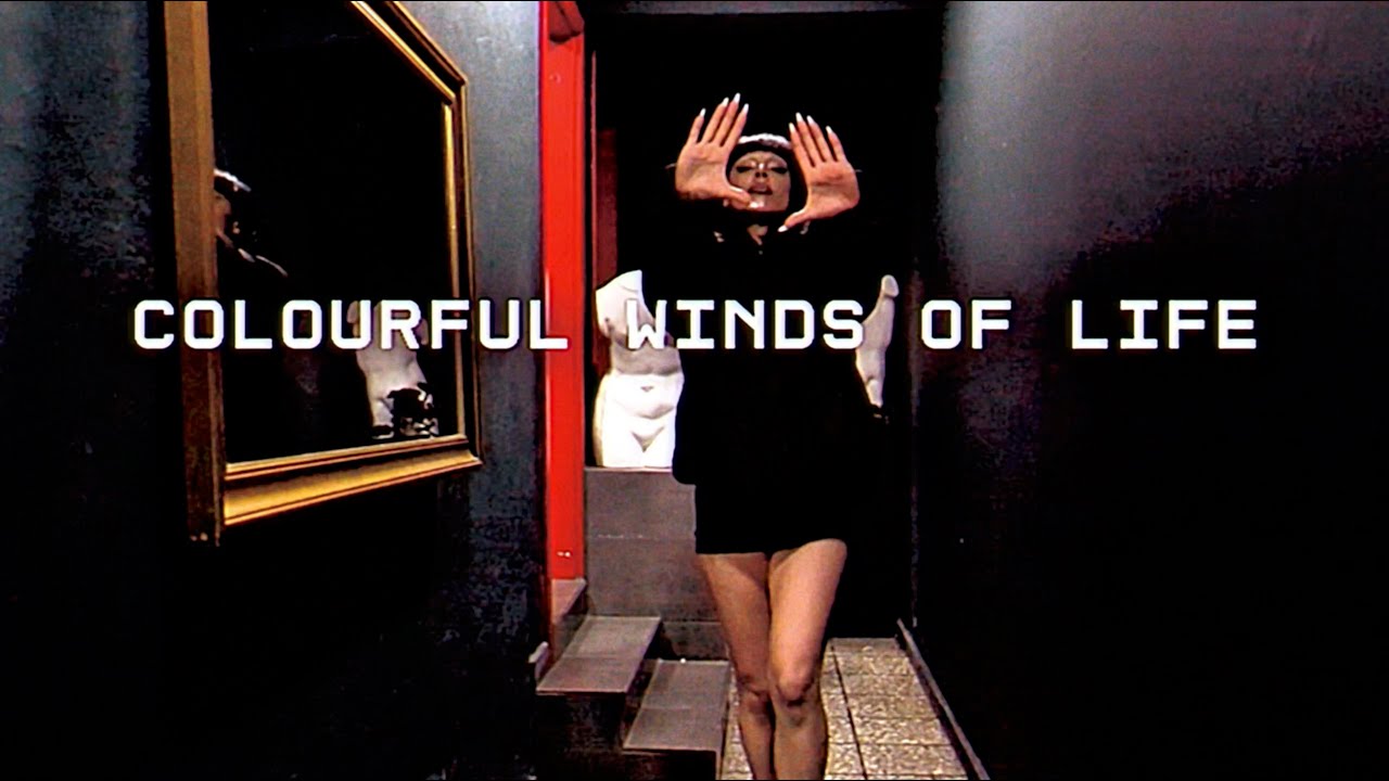 WASTED - OFFICIAL VIDEO