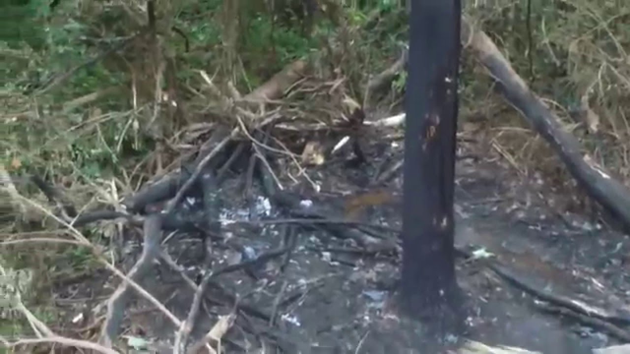 Walk through of Ryan Dunn's accident scene