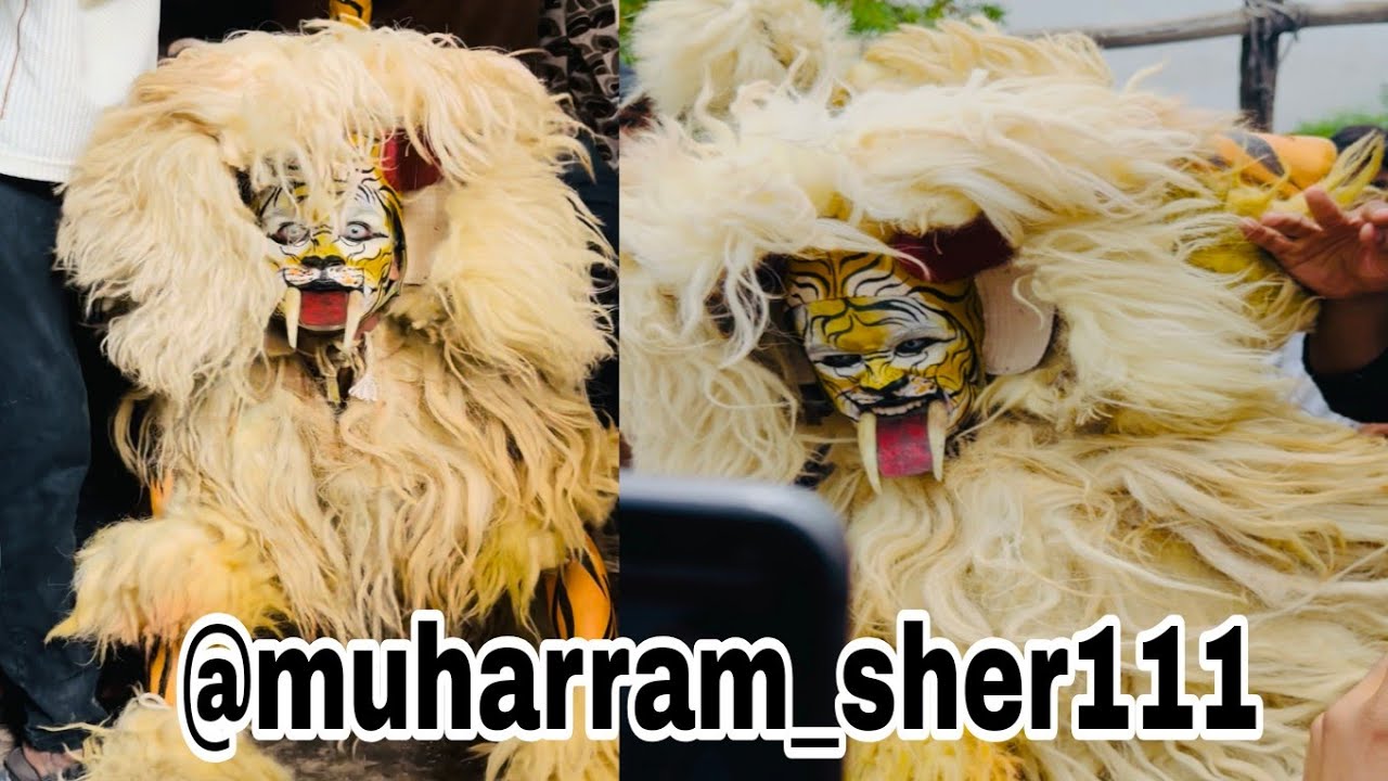 Muharaam sher Ariyan Azad nagar 2025 tulli ustad ka sher