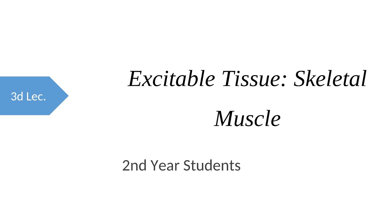 Physiology | skeletal muscle | pt 1