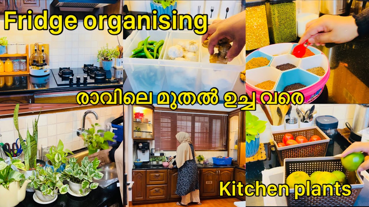 A day in my life# Fridge cleaning & organising # kitchen plants settings# Subina Nishad