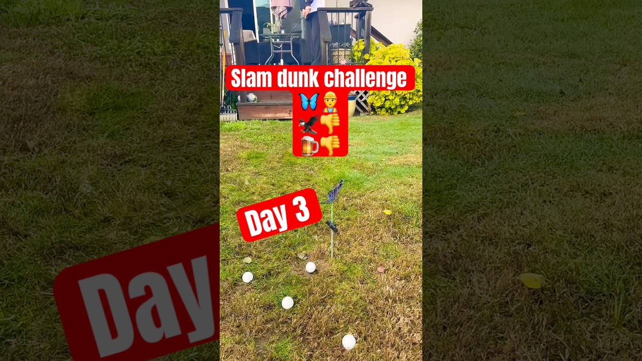 Day 3 | slam dunk challenge | SO CLOSE!! 