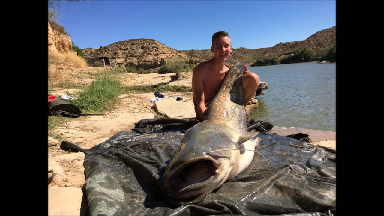 Vissen op de ebro 2016!!