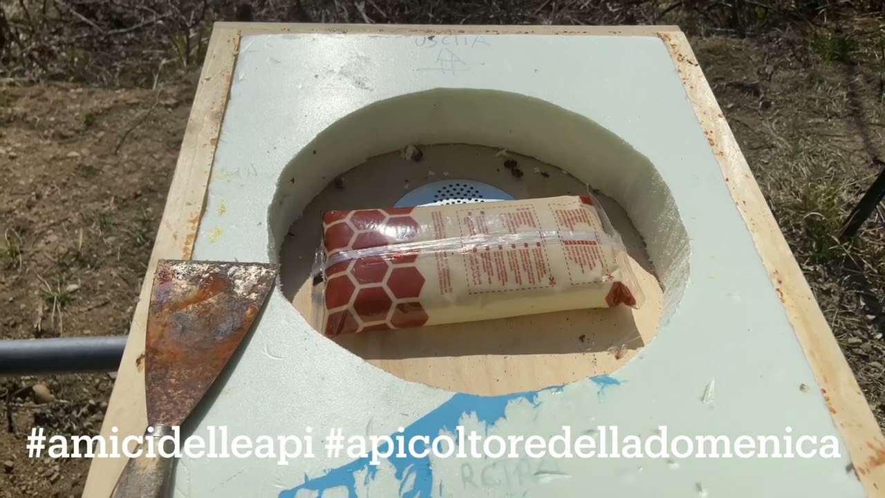 Api al freddo e ancora candito