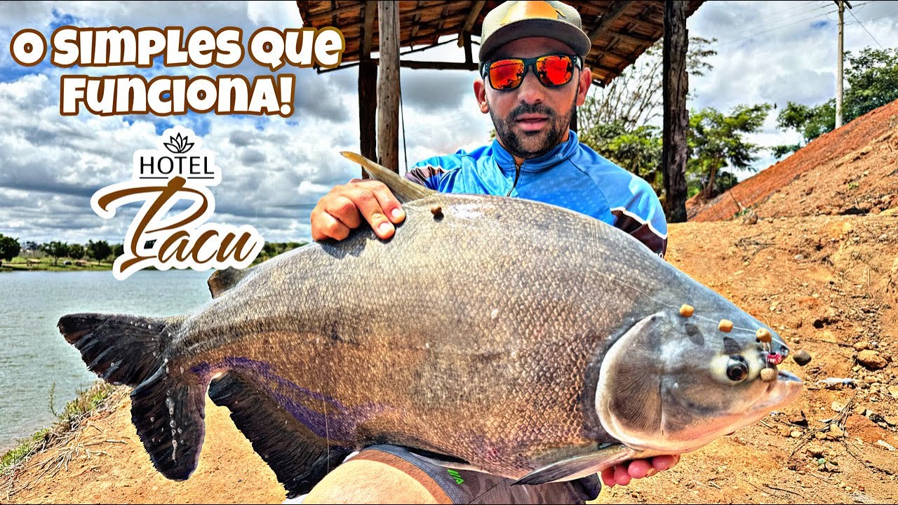 HOTEL PACU - o SIMPLES que FUNCIONA MUITO!