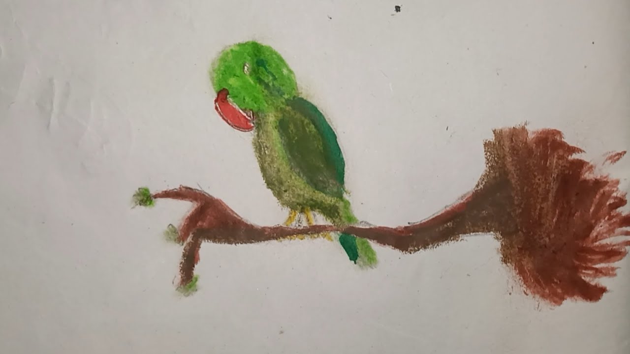 Easy Parrot Drawing for Kids 🦜 | Step by Step Parrot Drawing | Dishaan’s World