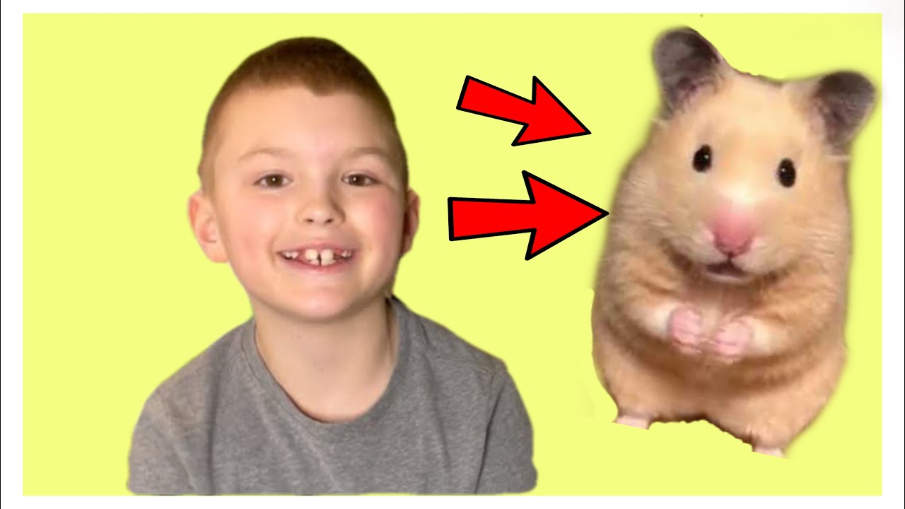 NEW HAMSTER! Adopting a Hamster From Petco