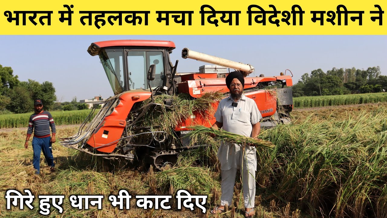 गिरे हुए धान की कटाई करे मिनटों में | Half Feed Combine Harvester | Combine Machine Harvester