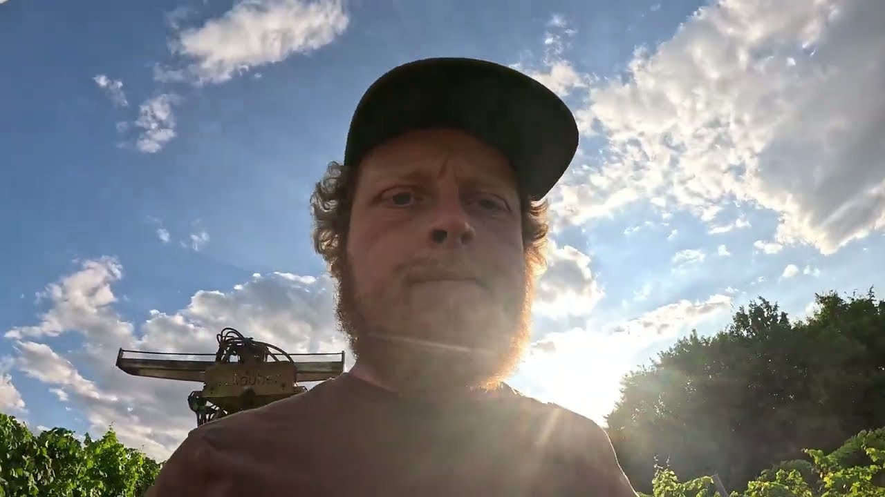Vlog#22 Laubschneiden Umkehrerziehung Jungfeld
