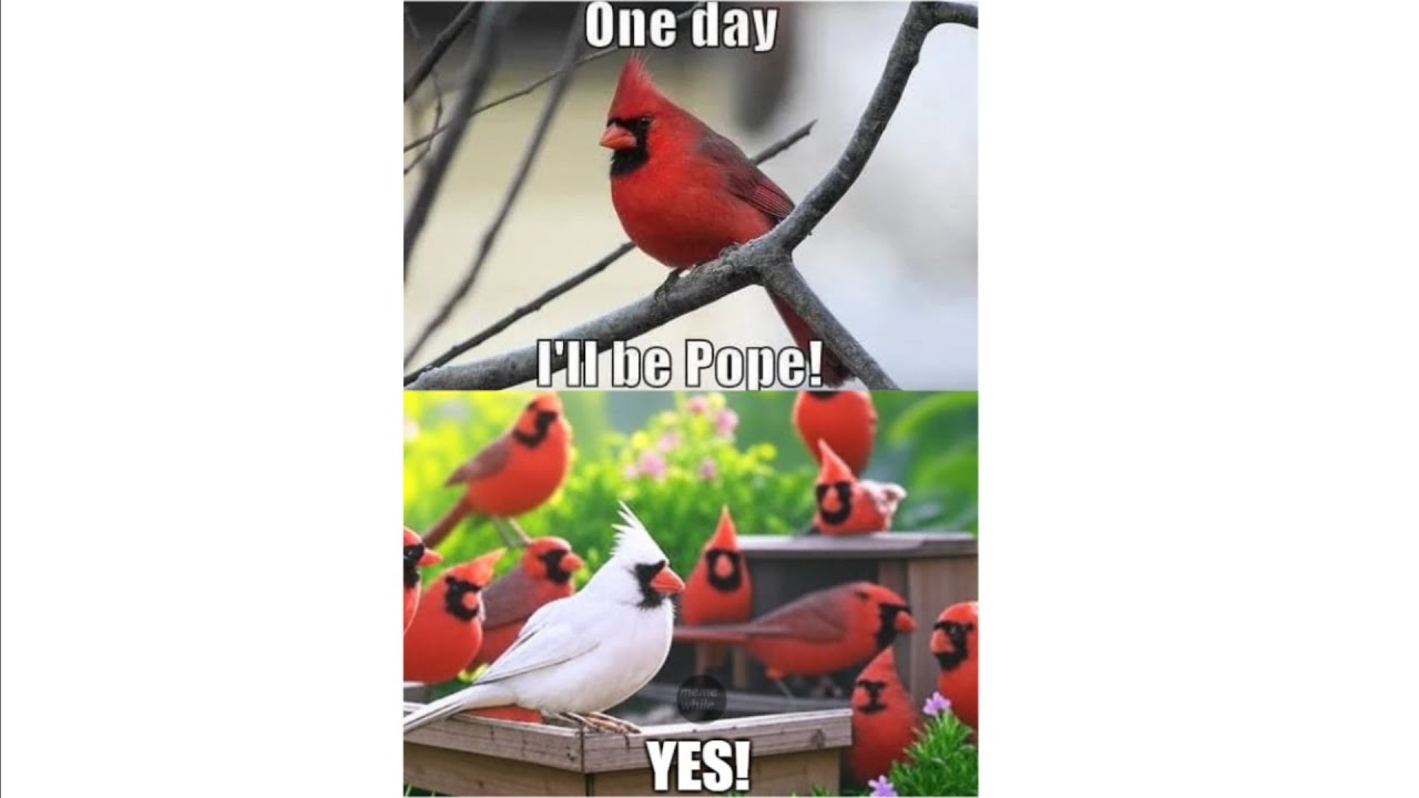 Catholic Memes While You Wait For The Conclave