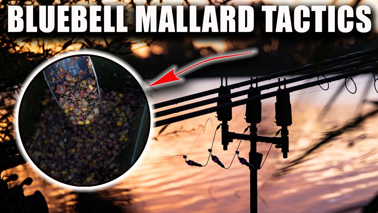 Carp Fishing - Bluebell Mallard Lake Tactics (2023 Road Trip Part 3)