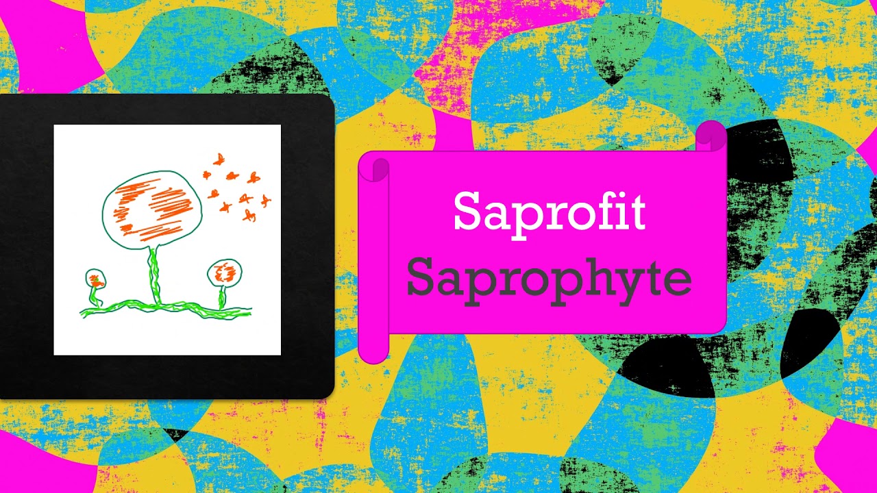 Parasit vs Saprofit