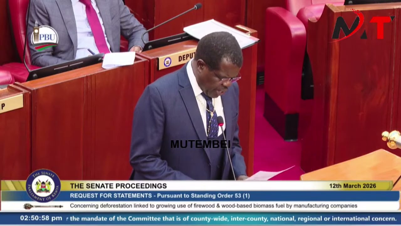 Explosive! Sen. Okiya Omtatah’s Remarks Leave Ruto Shocked in Senate!