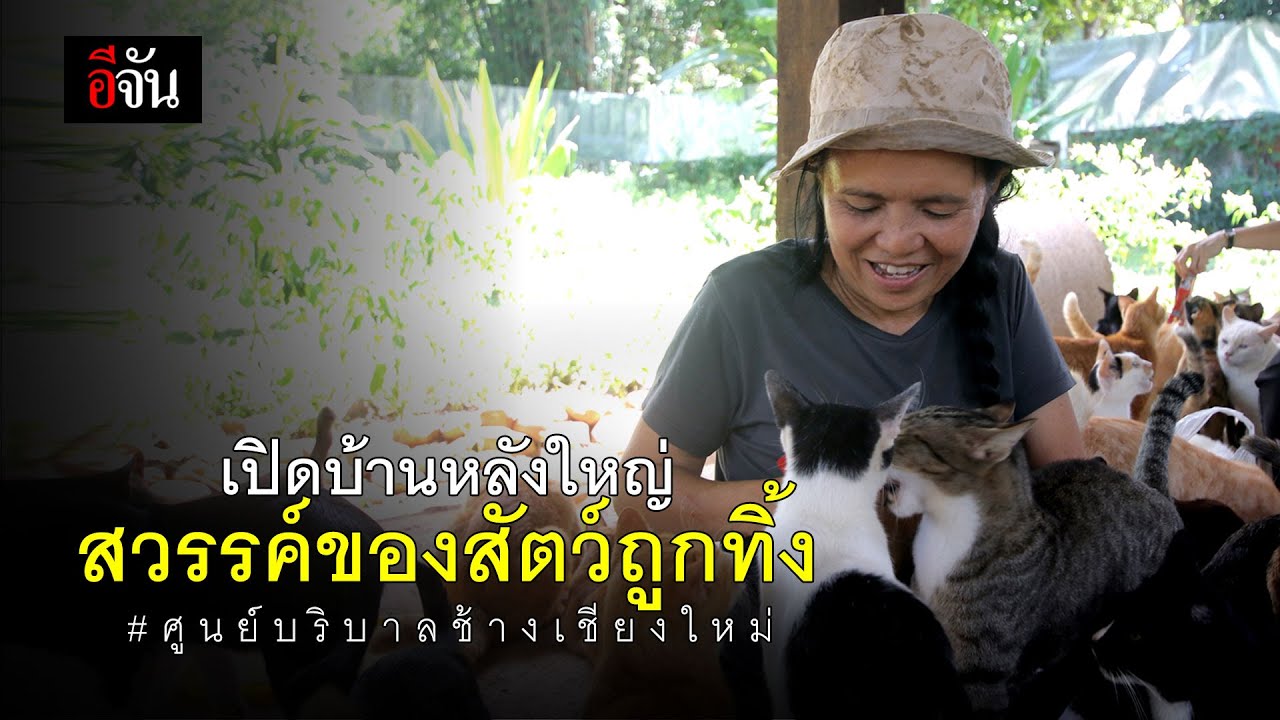 บ้านหลังใหญ่ สวรรค์ของสัตว์ถูกทิ้ง #ศูนย์บริบาลช้างเชียงใหม่ | อีจัน EJAN