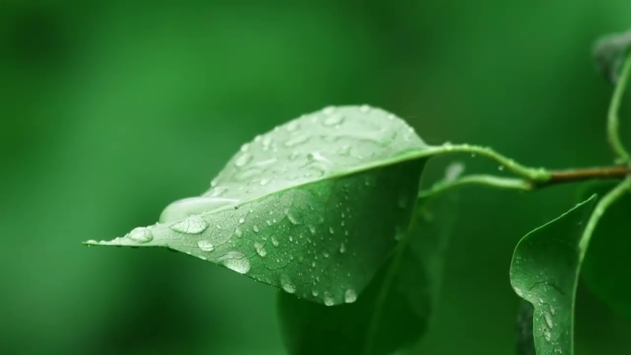 Meditation for Teens 2026 #5 (Relaxing Rain)