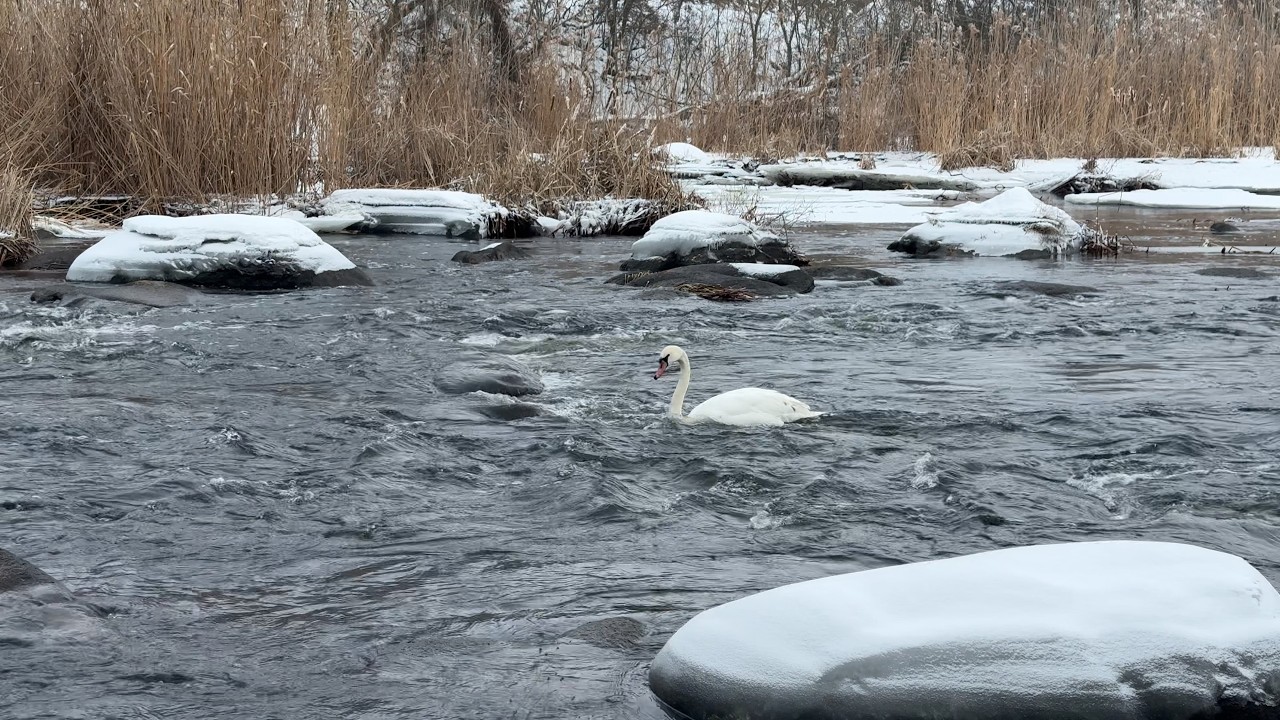 Relaxing Winter River Sounds | 3 Hours Nature Sounds 4K