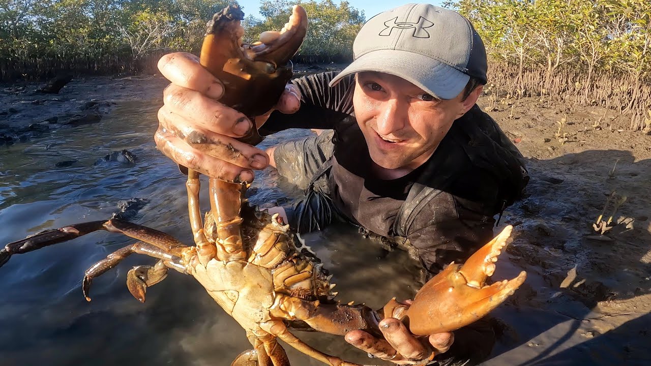 SURWIWAL I ZDOBYWANIE POŻYWIENIA W TROPIKALNYCH BAGNACH AUSTRALII