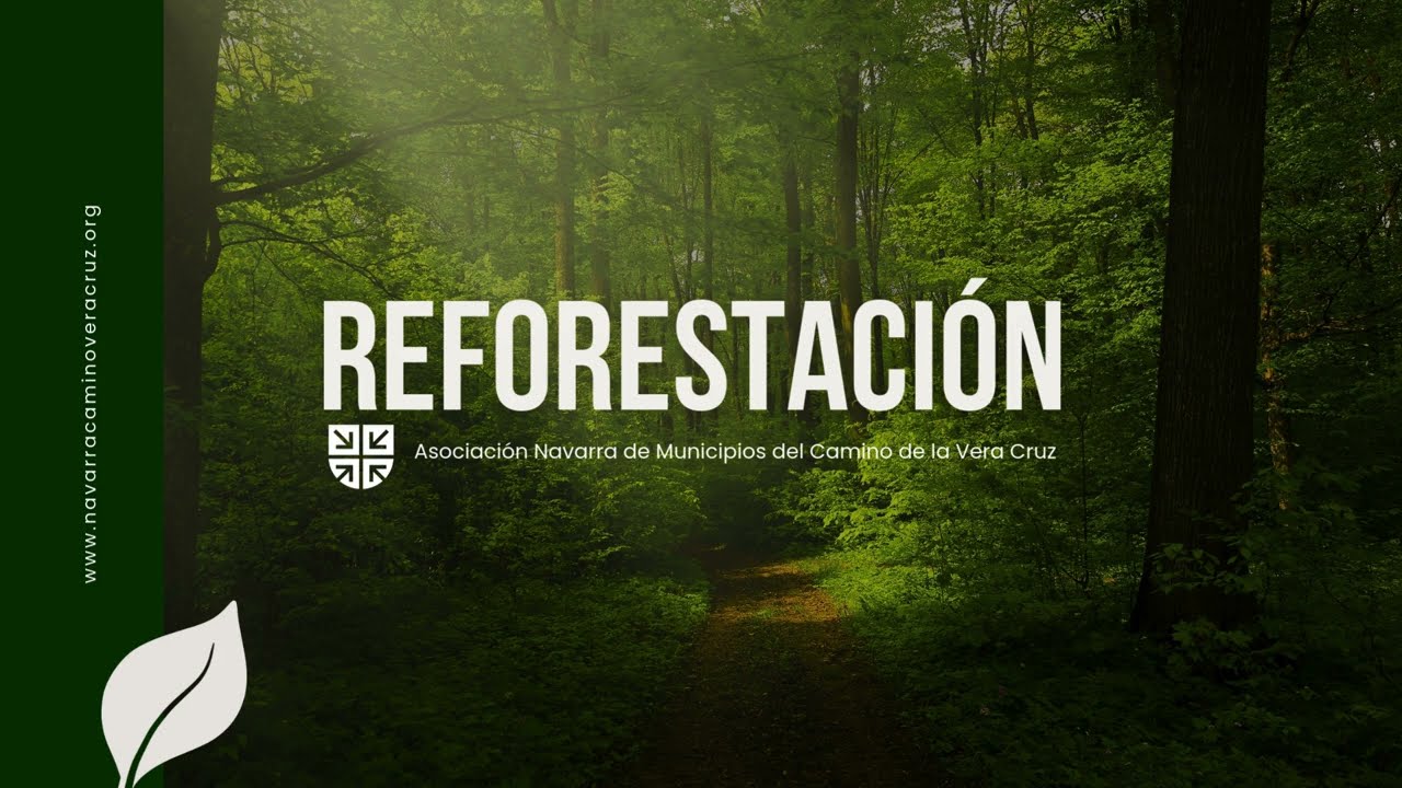 Reforestación. Camino de la Vera Cruz