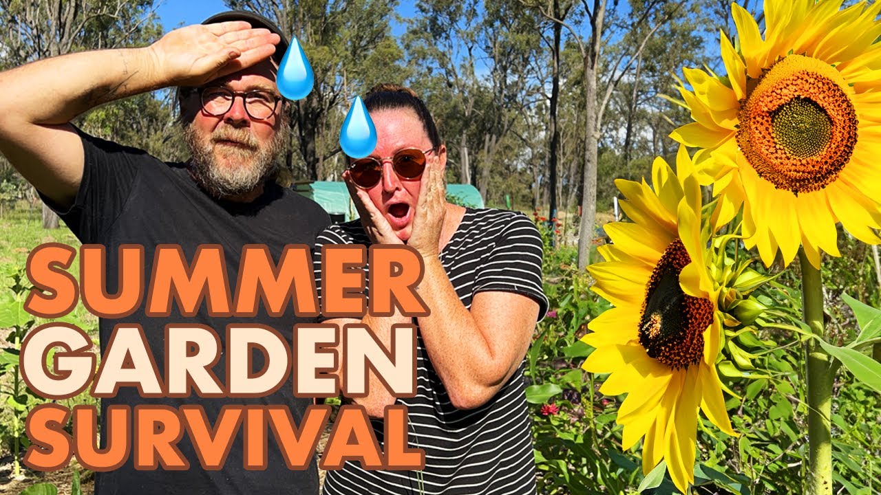 HEATWAVE AHEAD. Homestead Gardening in the Australian Summer