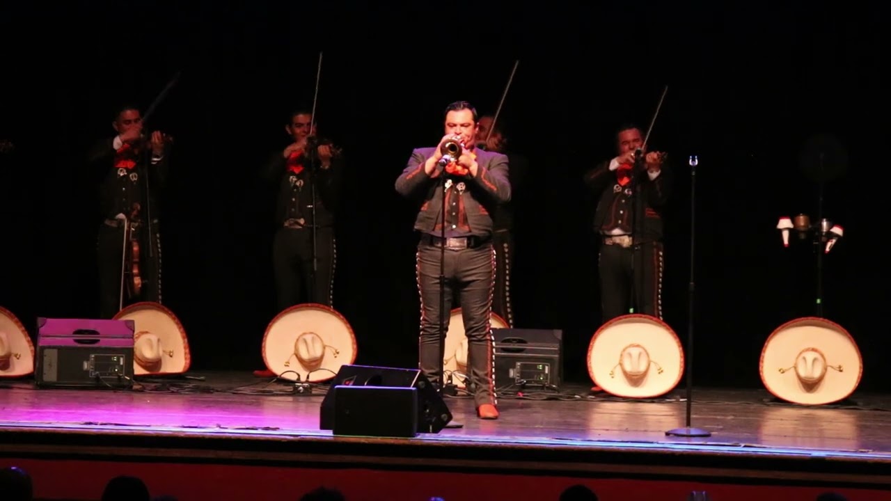 Alta y Delgadita - Mariachi Los Camperos