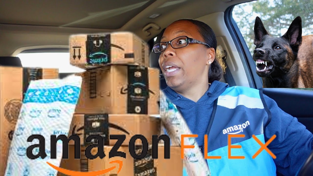 AMAZON FLEX | I GOT CHASED BY A DOG
